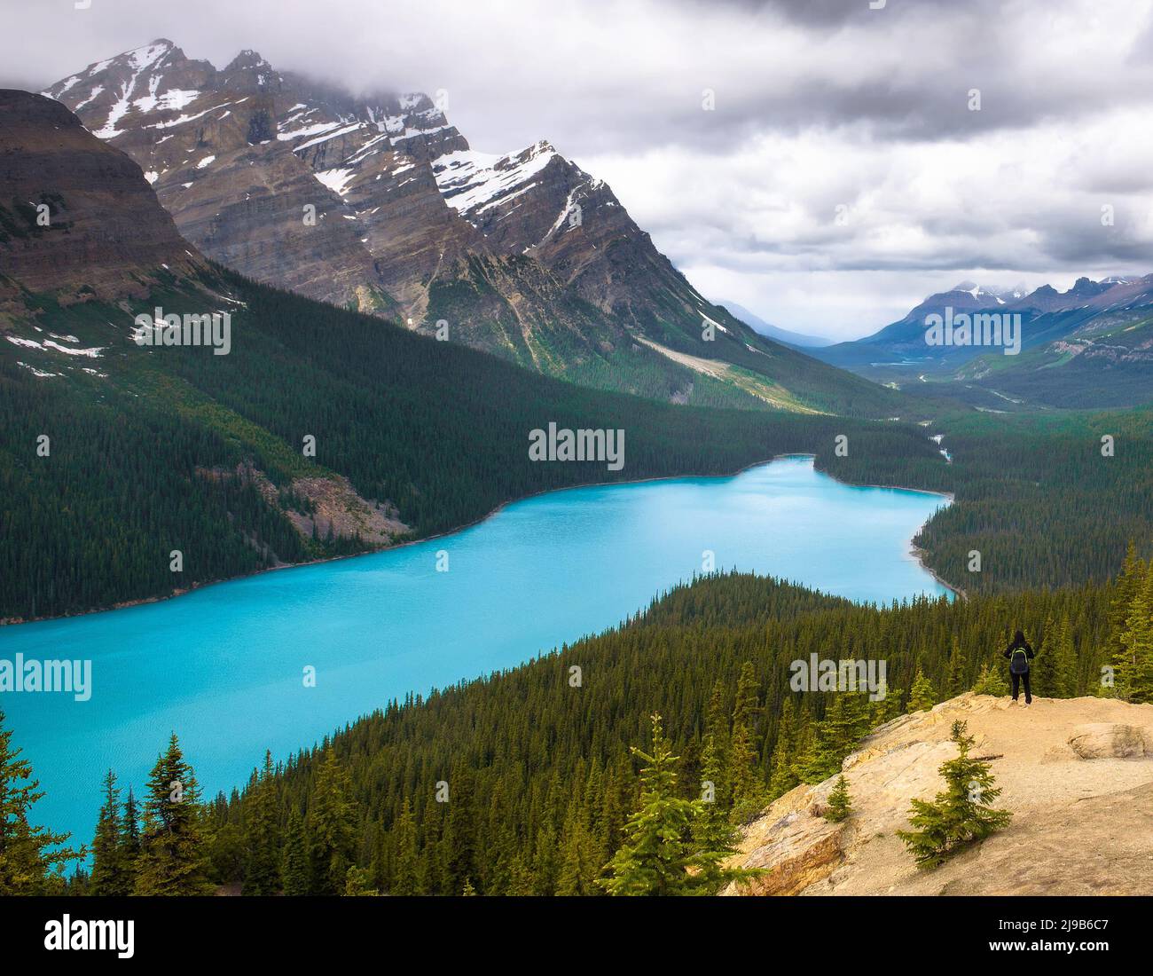 Tourist am Peyto Lake im Banff National Park, Kanada Stockfoto
