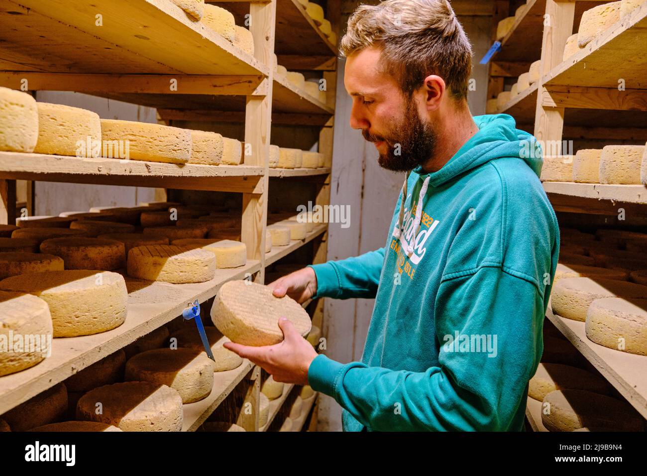 Frankreich, Morbihan, Golf von Morbihan, Halbinsel Rhuys, Sarzeau, Die Farm, die den Rhuys-Tomé produziert Stockfoto