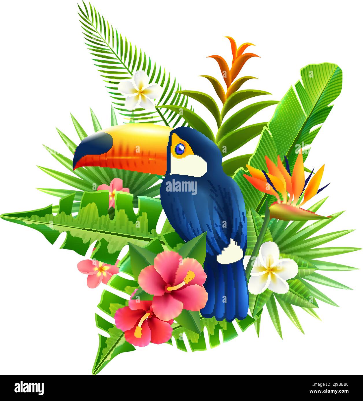 Tropische Blumen und Pflanzenwedel mit Tukan Vogel Vektor gesetzt Abbildung Stock Vektor