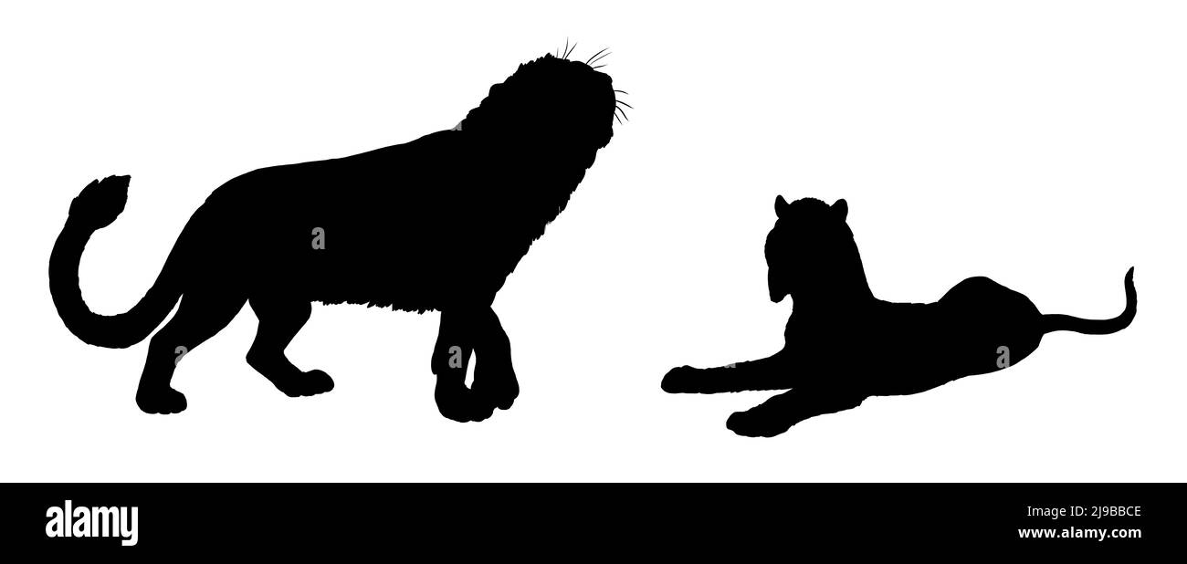 Prähistorische Raubtiere - Thylacosmilus und Höhlenlöwe. Zeichnung mit ausgestorbenen Raubtieren der Katze. Silhouettenzeichnung mit Säbelzahn. Stockfoto