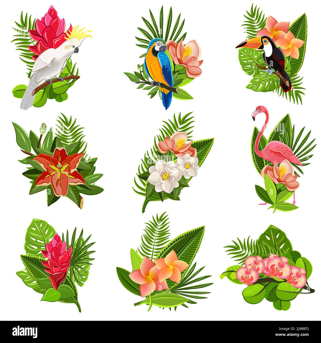 Exotische tropische Blumen und Vögel Ikonen Kollektion mit schönen opulent Grün Laub Anordnungen abstrakt isoliert Vektor-Illustration Stock Vektor