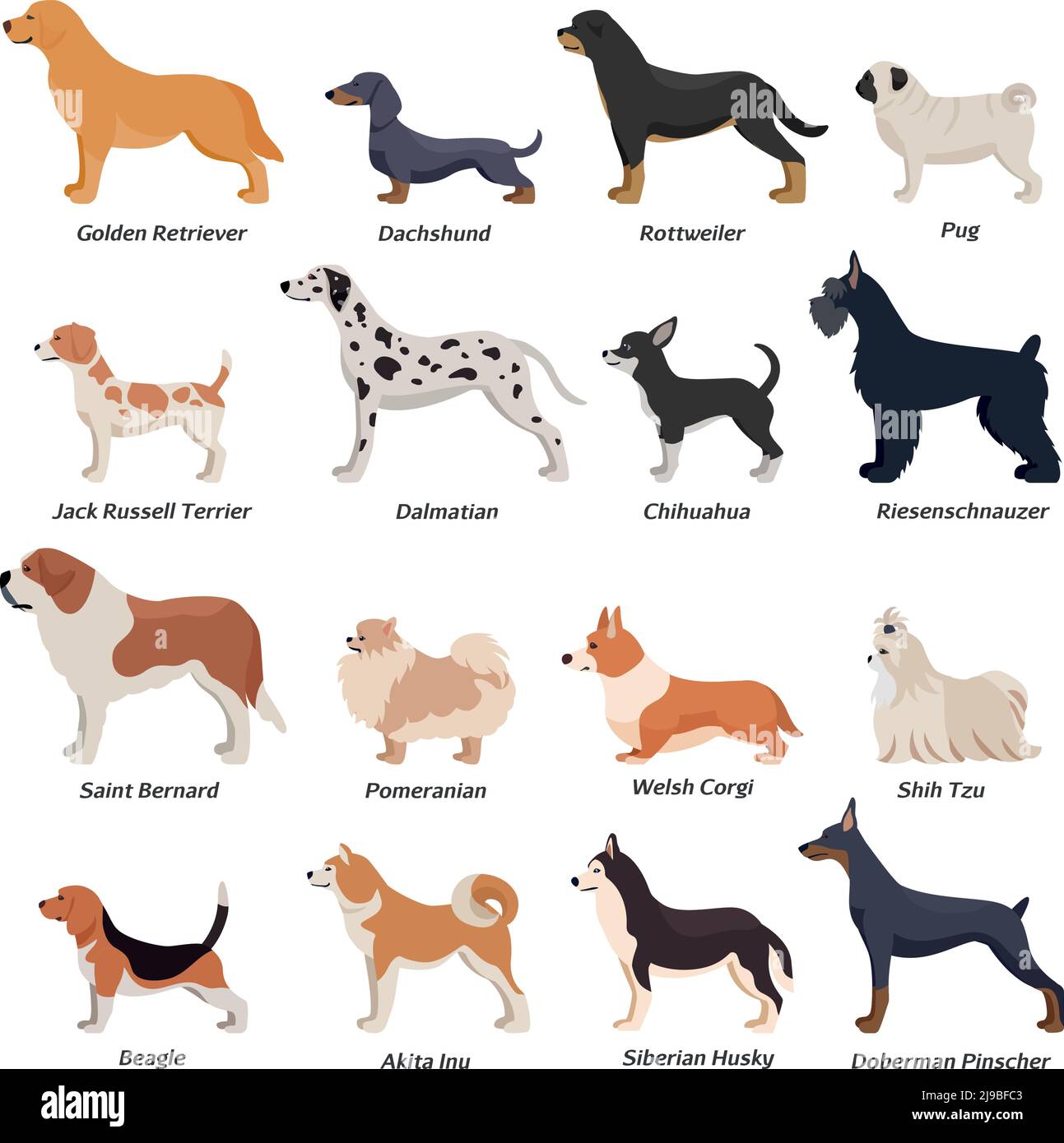 Mops beagle -Fotos und -Bildmaterial in hoher Auflösung – Alamy