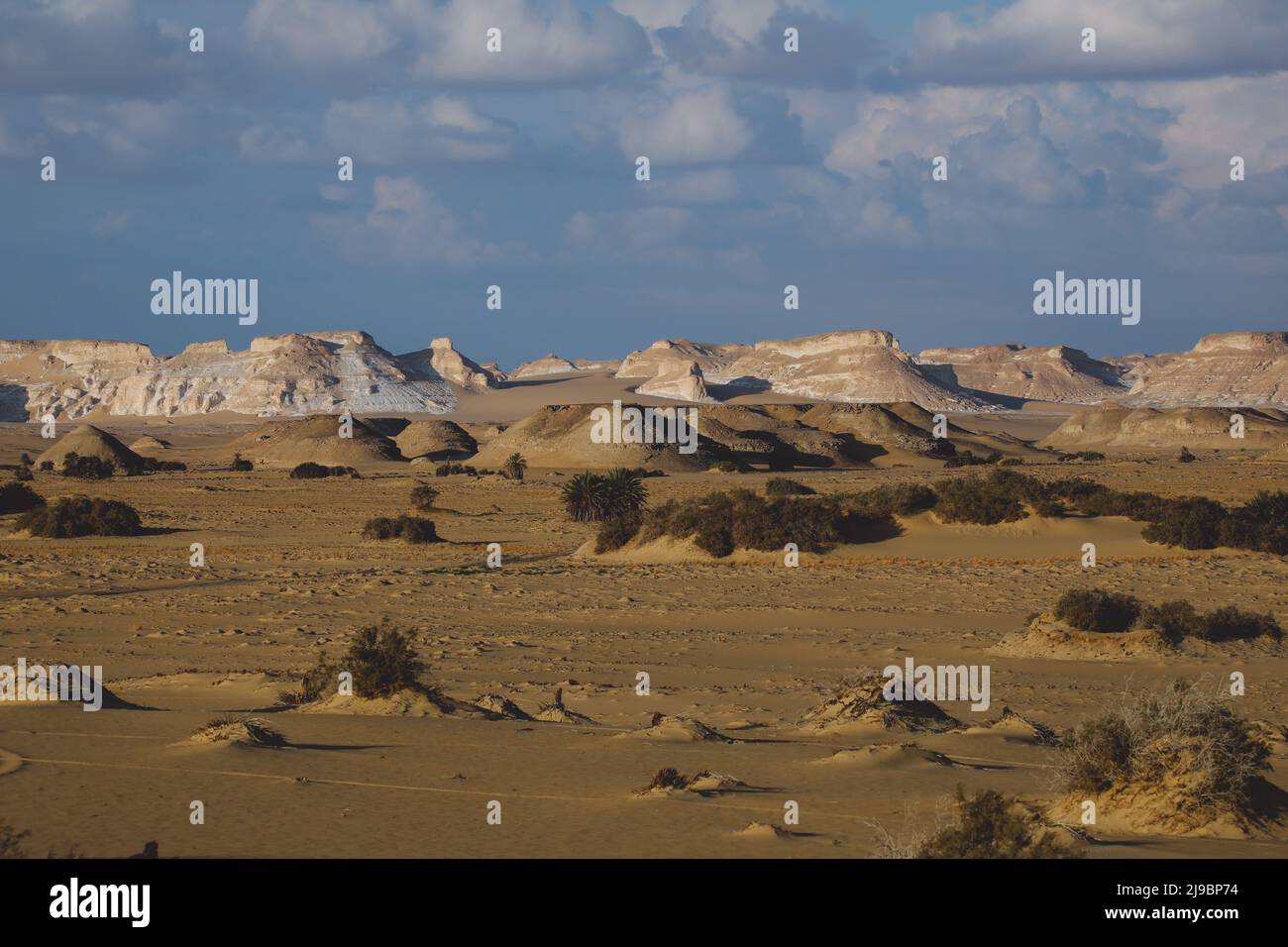 Landschaftsansicht des Schutzgebietes Weiße Wüste in der Farafra Oase, Ägypten Stockfoto