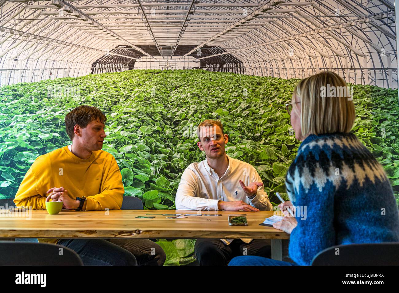 Der Gründer von Nordic Wasabi, Ragnar Atli Tomason, links abgebildet, und Olli Hall, verantwortlich für Marketing und Vertrieb, in einem Interview vor der Fotowand des ersten Wasabi-Gewächshauses in Reykjavík, Island Stockfoto