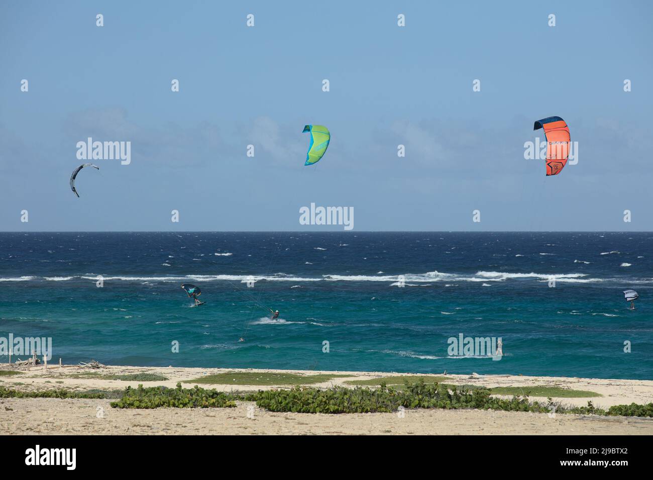 BOCA GRANDI, ARUBA - 17. DEZEMBER 2020: Kite- und Flügelsurfer am Boca Grandi Strand an der südöstlichen Küste der karibischen Insel Aruba Stockfoto