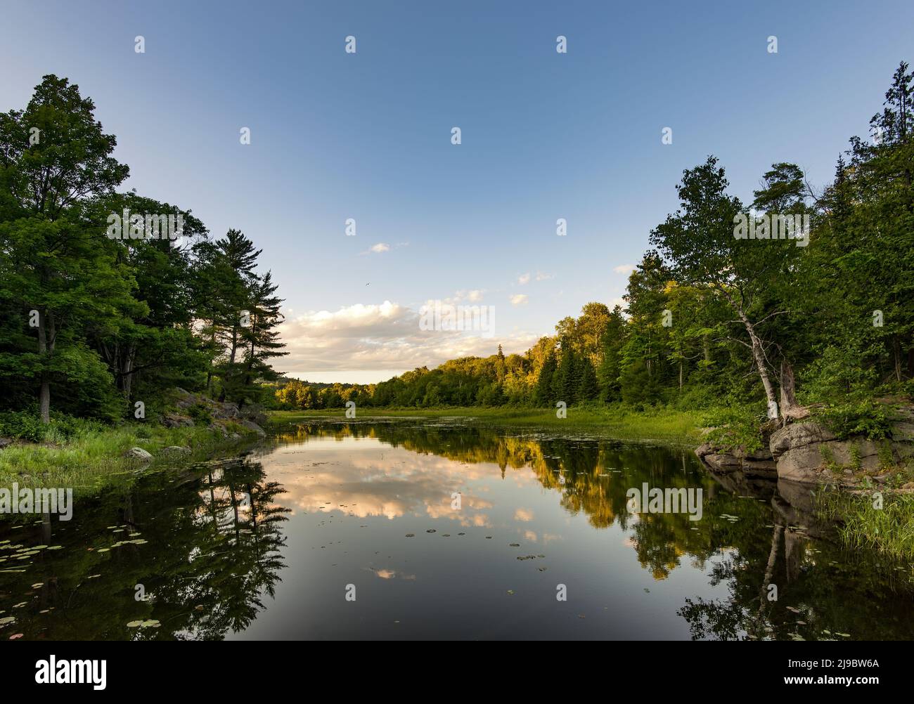 Landschaft entlang des Crack Trail in Killarney im Sommer Stockfoto