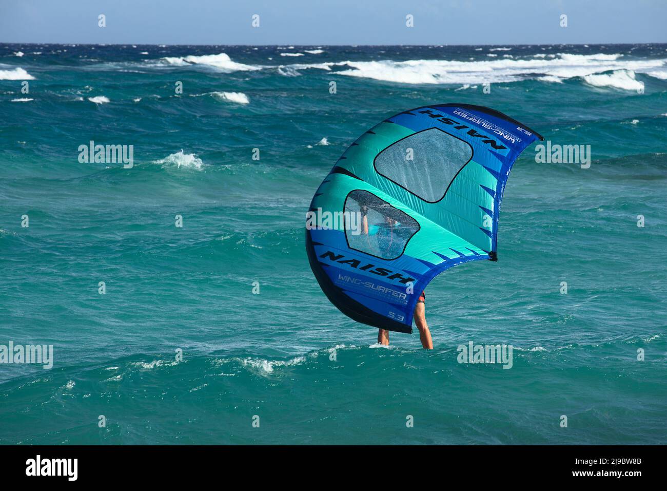 BOCA GRANDI, ARUBA - 17. DEZEMBER 2020: Person mit einem Naish Wing-Surfer-Drachen am Boca Grandi Strand auf der karibischen Insel Aruba (Selective Focus) Stockfoto