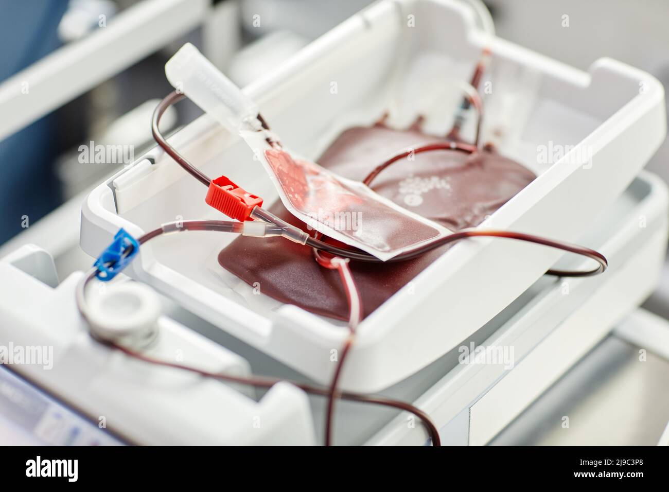 Nahaufnahme von gefüllten Blutbeuteln im Tablett des Blutspendezentrums, Platz zum Kopieren Stockfoto