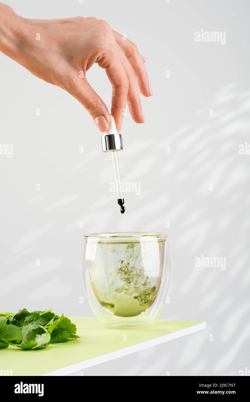 Weibliche Hand gießt flüssiges Chlorophyll mit einer Pipette in ein Glas Wasser. Glas flüssiges Chlorophyl und frische Kräuter auf dem grünen Tisch. Stockfoto