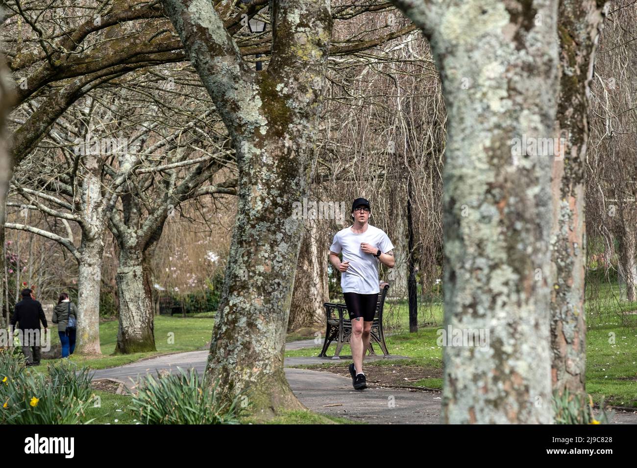 Ein Mann beim Joggen durch die Trenance Gardens in Newquay in Cornwall. Stockfoto