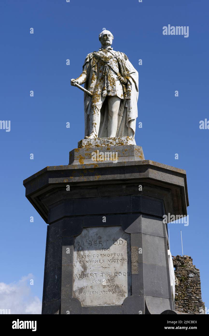 Das walisische Denkmal für Prinz Albert wurde 1865 auf dem Castle Hill in Tenby, Wales, errichtet. Sizilianische Marmorstatue in Uniform auf einem grauen Kalksteinsockel Stockfoto