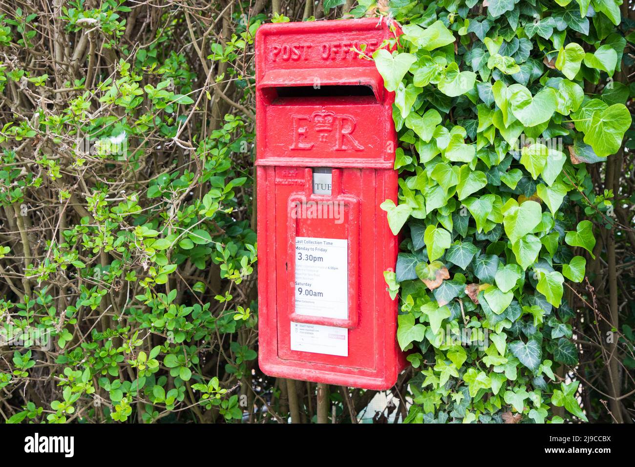 Royal Main roter UK-Briefkasten auf einer Wand von Ivy in Happisburgh, North Norfolk, Großbritannien Stockfoto