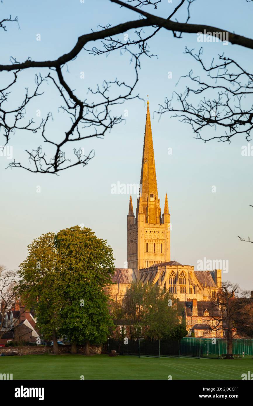 Frühlingsmorgen in der Kathedrale von Norwich. Stockfoto