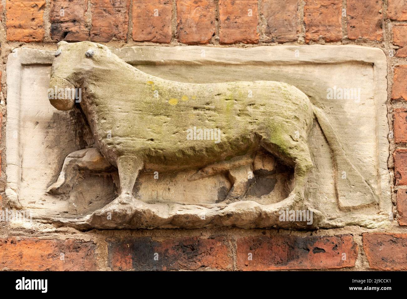 Bas-Relief-Darstellung eines Bullen bei Bull Wynd in Darlington, County Durham, England. Das Tier ist hoch an der Straßenwand zu sehen. Stockfoto