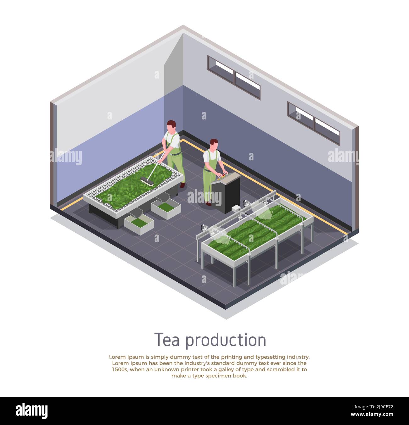Moderne Tee-Produktionsanlage isometrische Zusammensetzung mit Grading und Oxidation Geerntete Blätter verarbeiten beschreibenden Text Vektor Illustration Stock Vektor