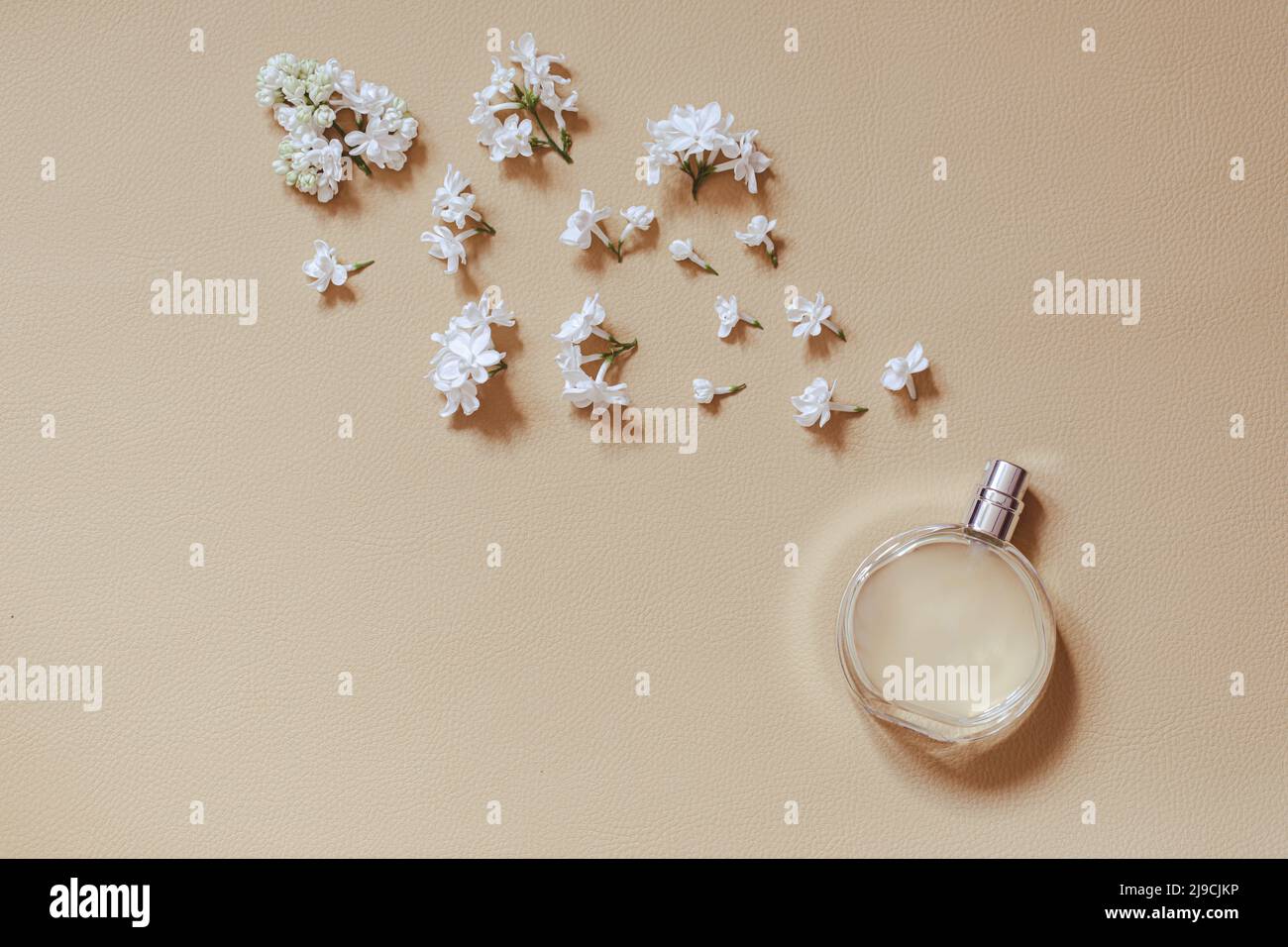 Parfümerie und florale Duft Konzept. Stilvolle Flasche Parfüm mit Spray von Fliederblüten auf beigem Hintergrund. Kreative trendige flach Lay mit Platz für Stockfoto