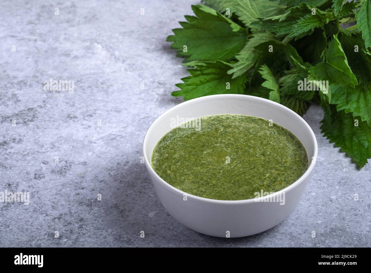 Brennnesselsuppe aus jungen Brennnesseltops, Schalotten, Sellerie, Kartoffeln, Brühe, Und Creme. Teller Brennnesselsuppe auf grauem Hintergrund Stockfoto