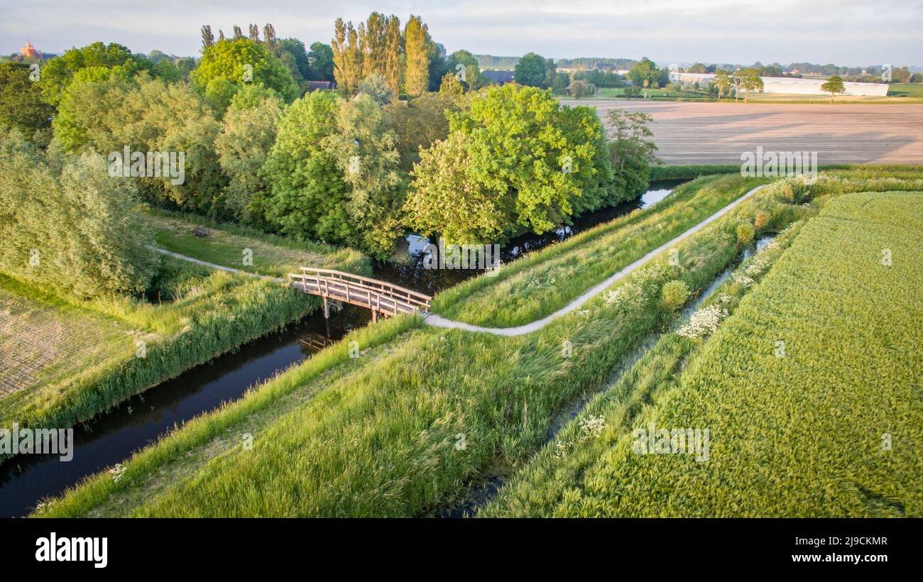 Kleine kleine Brücke über den Wasserkanal in der niederländischen Landschaft, umgeben von Ackergras und Weizen Stockfoto