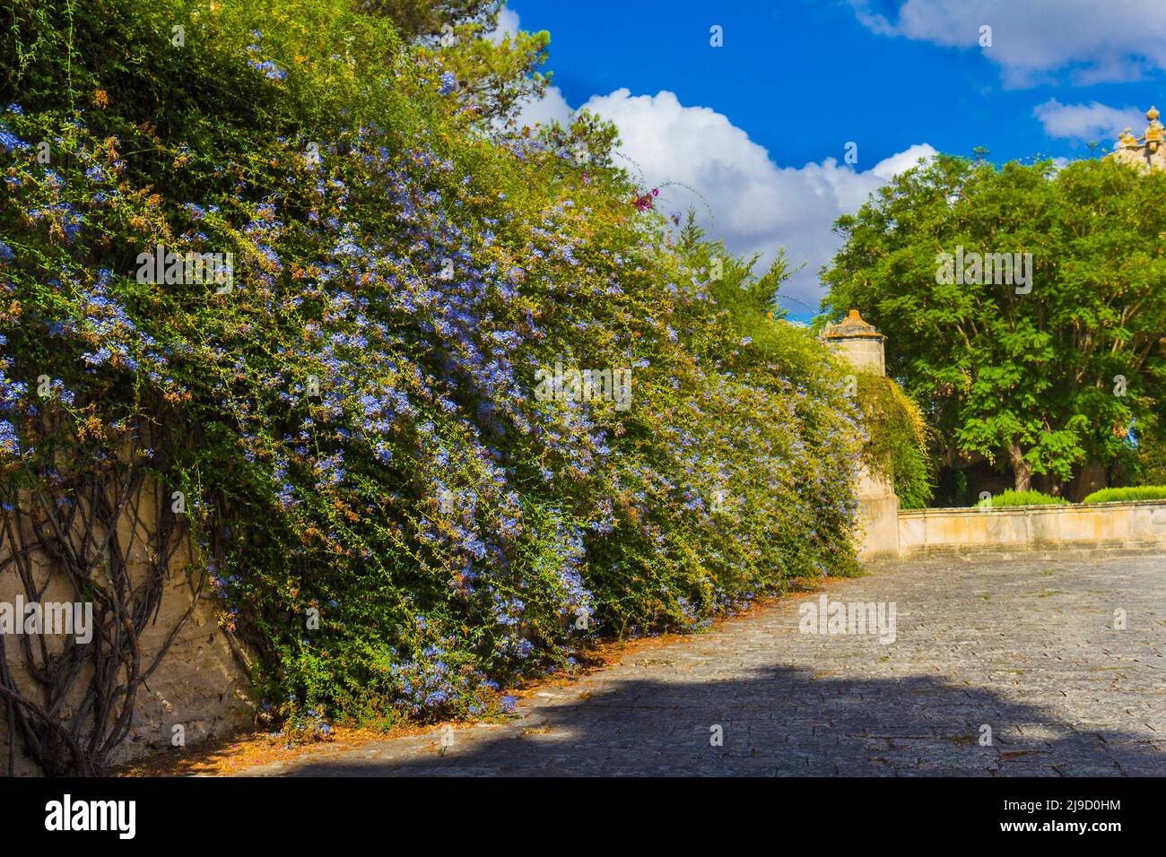 Cartuja de Santa Maria de la Defensión Gardens, Cádiz, Spanien Stockfoto