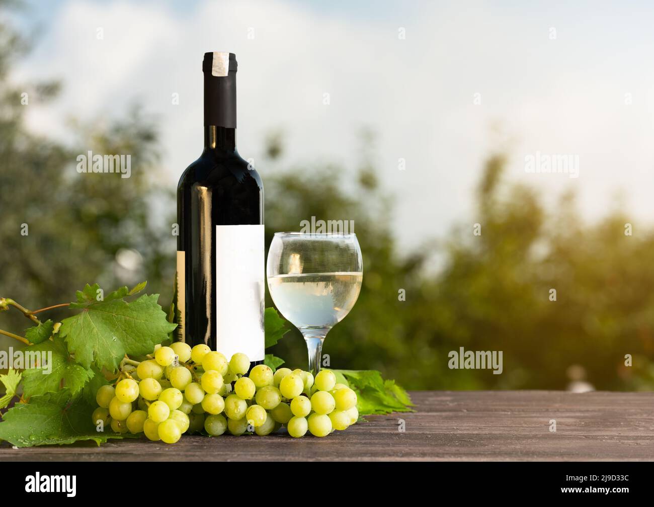Weißweinflasche und volles Glas auf dem Gartentisch. Frische Trauben und Wein auf Holztisch. Konzept der Weinlese. Stockfoto