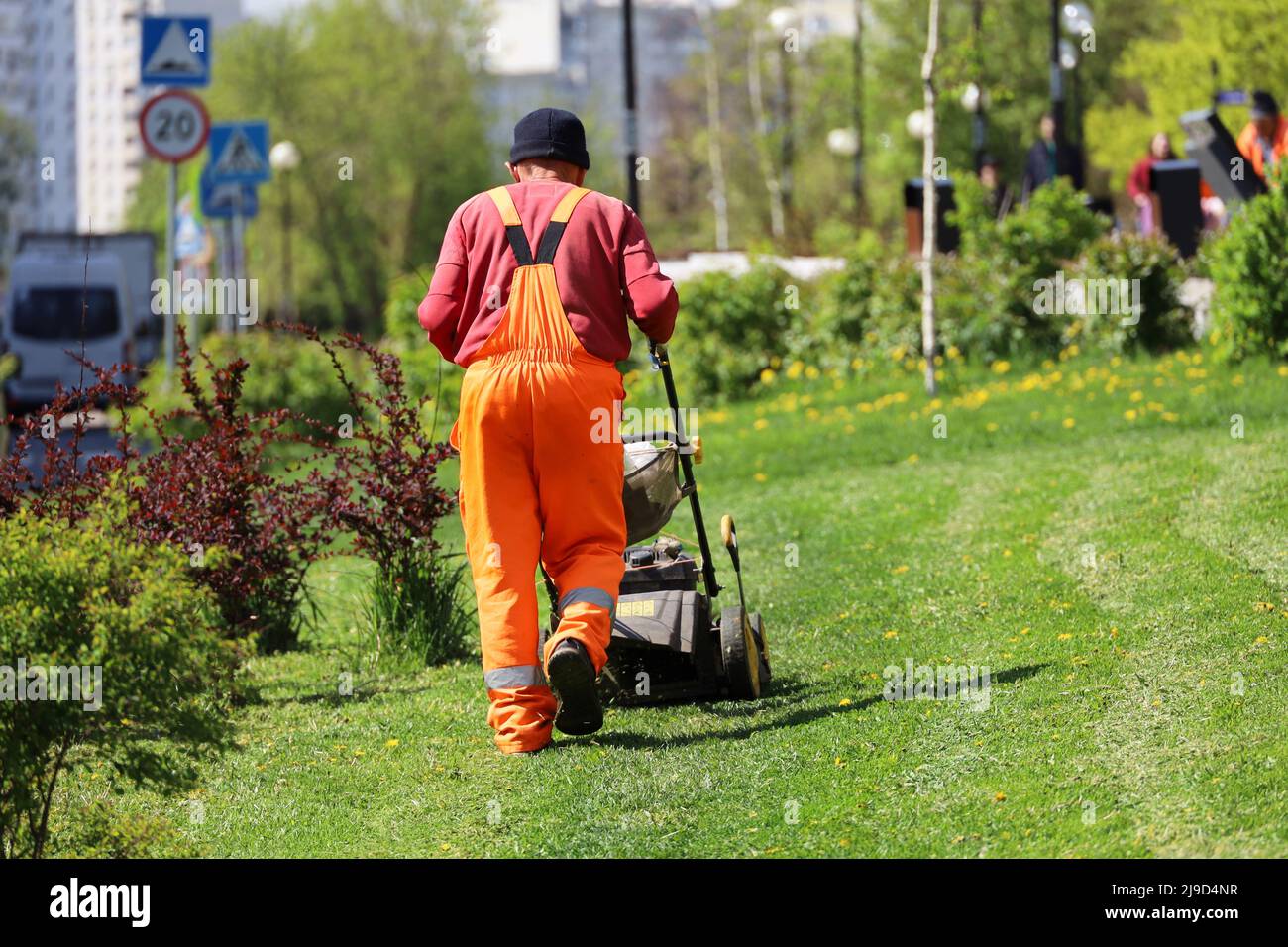 Gärtner mäht das Gras im Sommer mit einem Rasenmäher. Verbesserung des Stadtparks an sonnigen Tagen Stockfoto