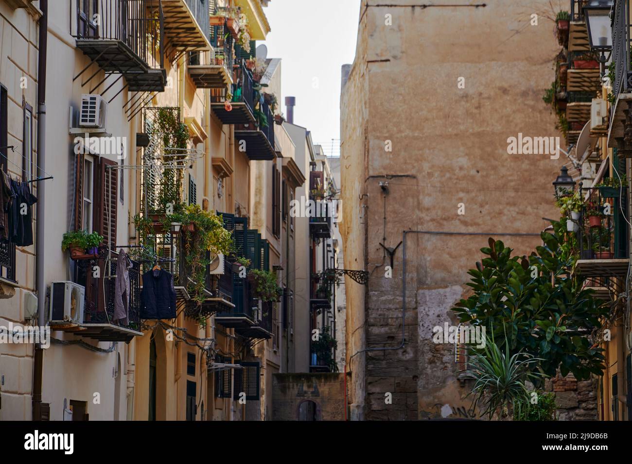 Tele-Bilder, die den schmalen Blick auf den Stadtteil Kelso in Palermo aufnehmen, farbenfroh und charmant Stockfoto