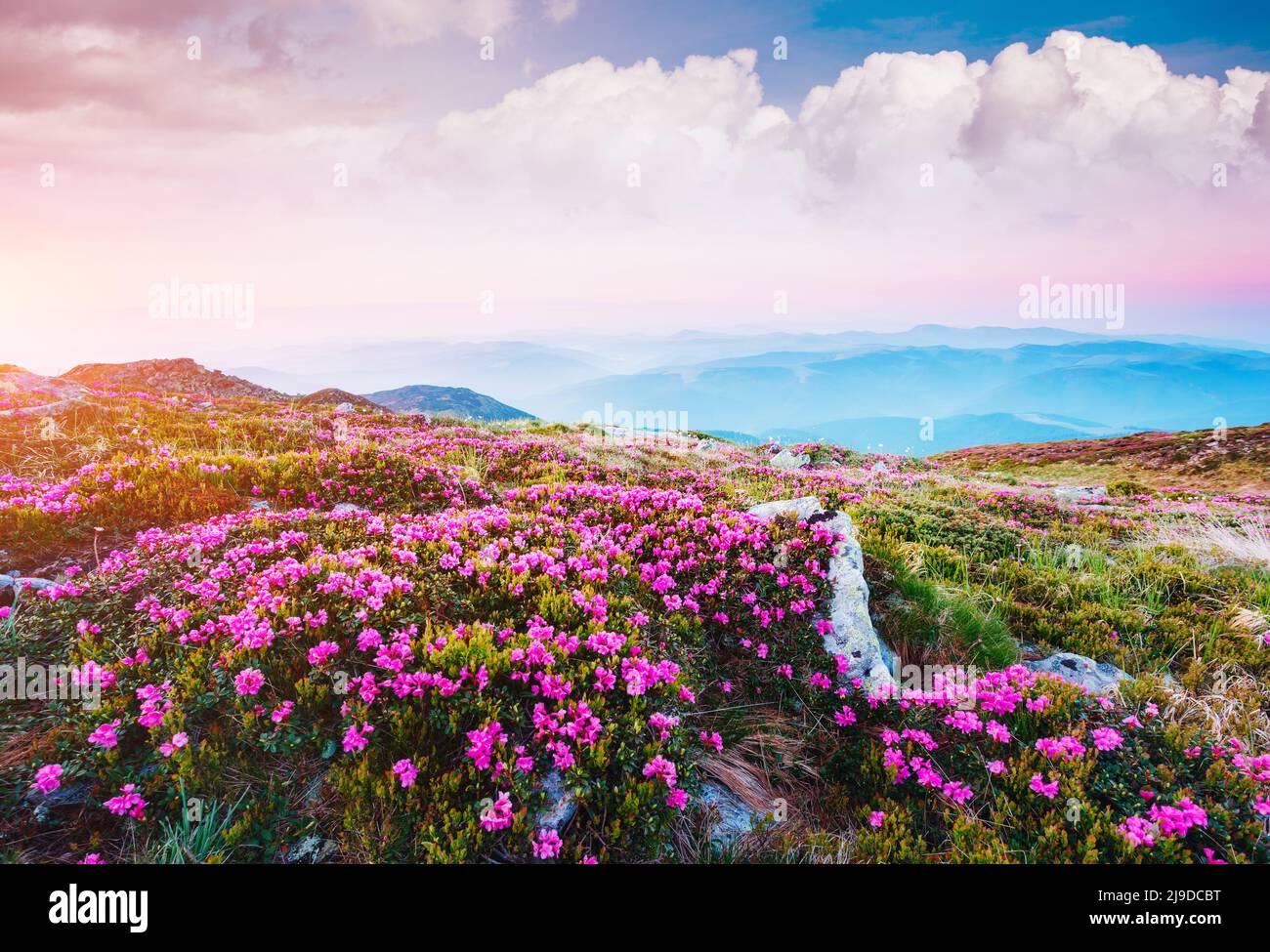 Wunderschöne Szene der Alpine Valley im Sonnenlicht. Schönen Tag. Ort Karpaten Ukraine, Europa. Wunderbares Bild von Tapeten. Ausgezeichnete o Stockfoto