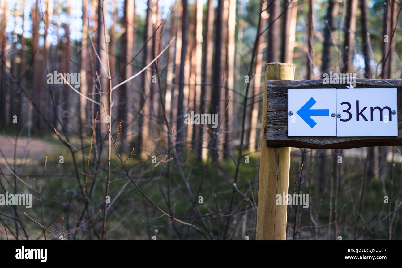 Ein Holzmast mit einem Indikator für die Richtung und Entfernung eines Wanderwegs in einem Waldpark. Stockfoto