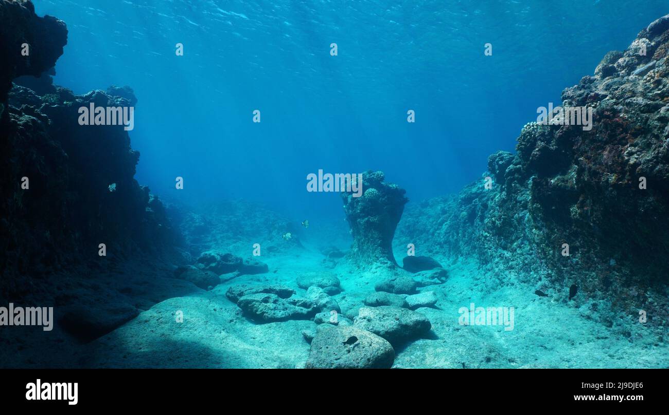 Felsiger Meeresboden, natürliche Unterwasserlandschaft im Pazifischen Ozean, Französisch-Polynesien Stockfoto