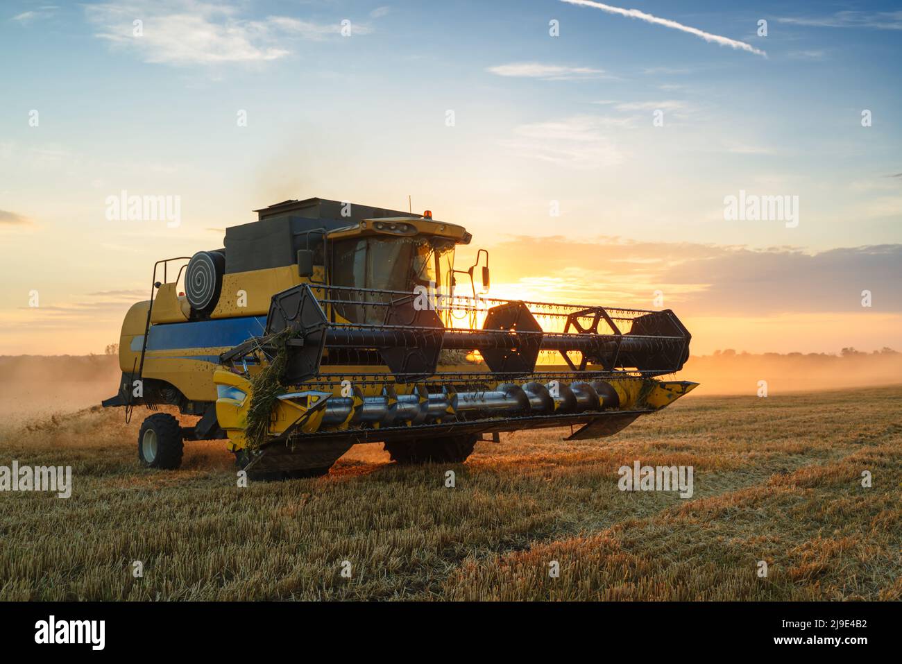 Mähdrescher ernten reifen Weizen. Reife Ähren gold Feld auf den Sonnenuntergang bewölkt orange Himmel Hintergrund. . Konzept für eine reiche Ernte. Landwirtschaft Stockfoto