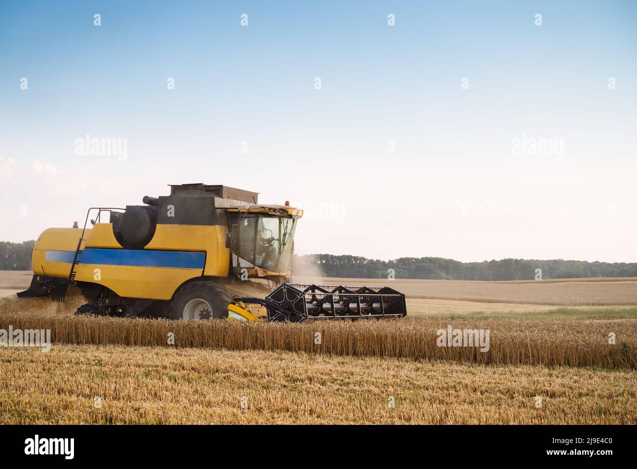 Mähdrescher ernten reifen Weizen. Reife Ähren gold Feld auf den Sonnenuntergang bewölkt orange Himmel Hintergrund. . Konzept für eine reiche Ernte. Landwirtschaft Stockfoto