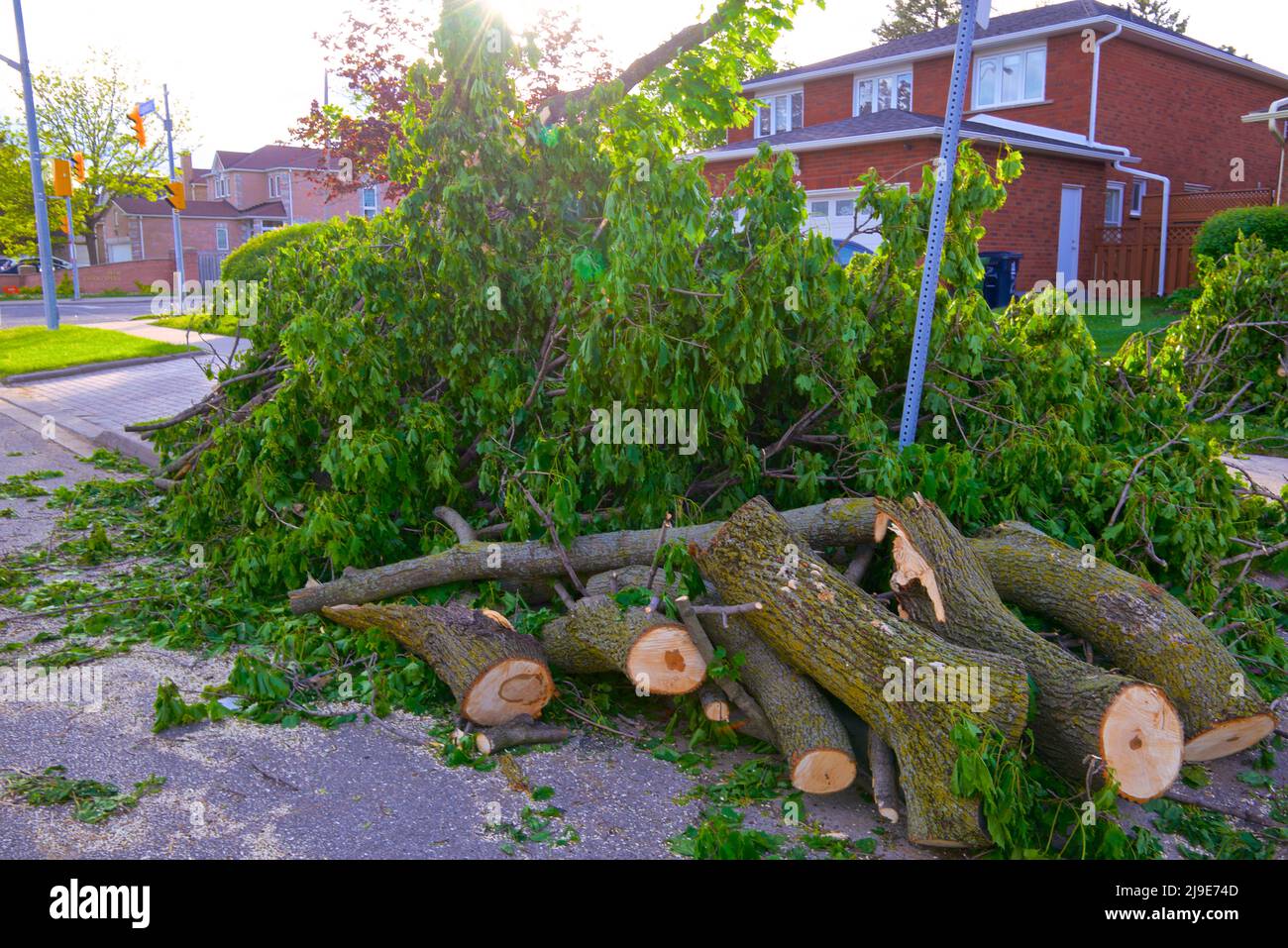 Reinigung der umgestürzten Bäume und Äste, die nach einem Sturm auf Ontario, Kanada, Straßenschließungen verursachen Stockfoto