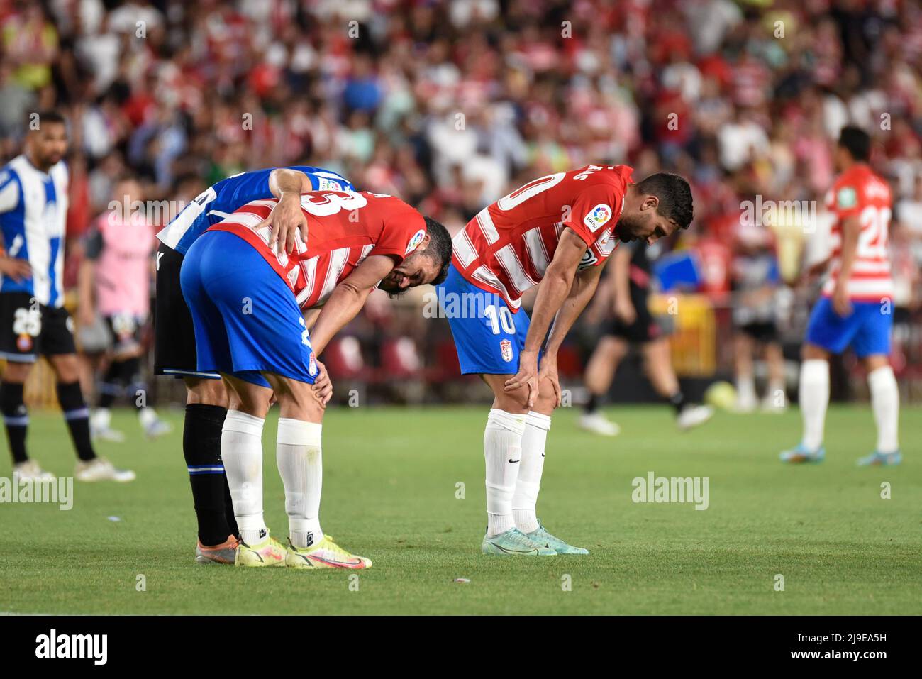 Die CF-Spieler von Granada waren bestürzt über den Abstieg der Kategorie während des Liga-Spiels zwischen Granada CF und RCD Español im Nuevo Los Carmenes Stadium am 10. Mai 2022 in Granada, Spanien. Stockfoto