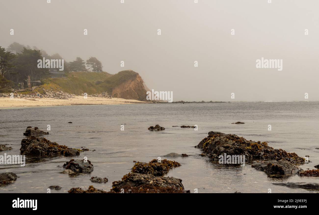 Malerische Küstenlandschaft im J V Fitzgerald Marine Reserve, Kalifornien Stockfoto