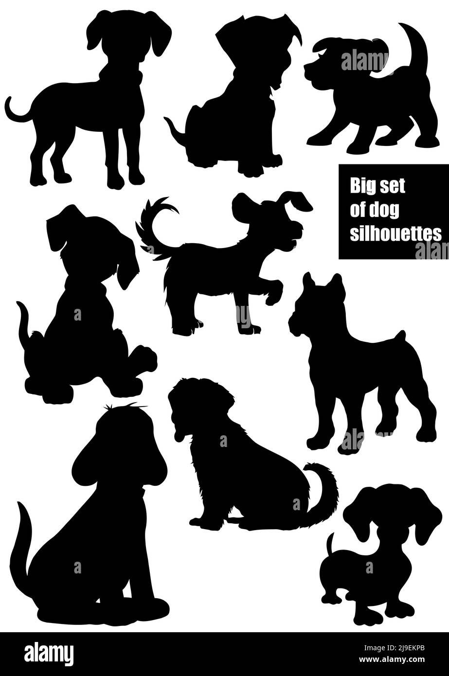 Schwarz-Weiß-Silhouetten für Hunde. Vektorgrafik Stock Vektor