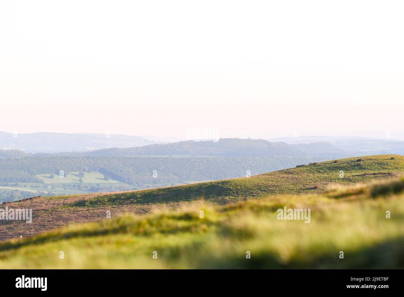 Sanfte Hügel von Shropshire im Frühling bei warmem Sonnenuntergangslicht. Vereinigtes Königreich Stockfoto