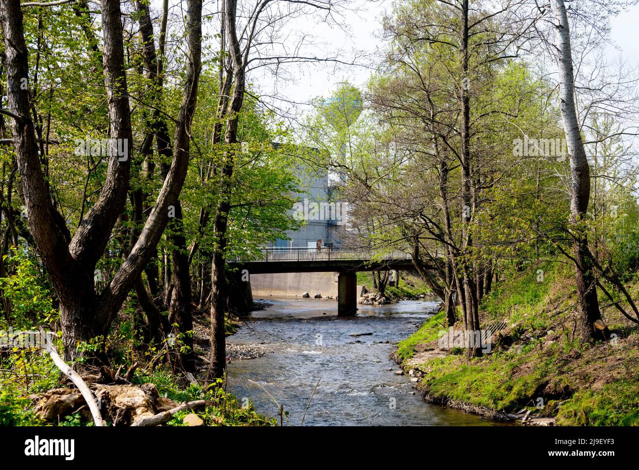 Deutschland, NRW, Städteregion Aachen, Stolberg, Fluss Inde beim Werk Saint-Gobain Stockfoto