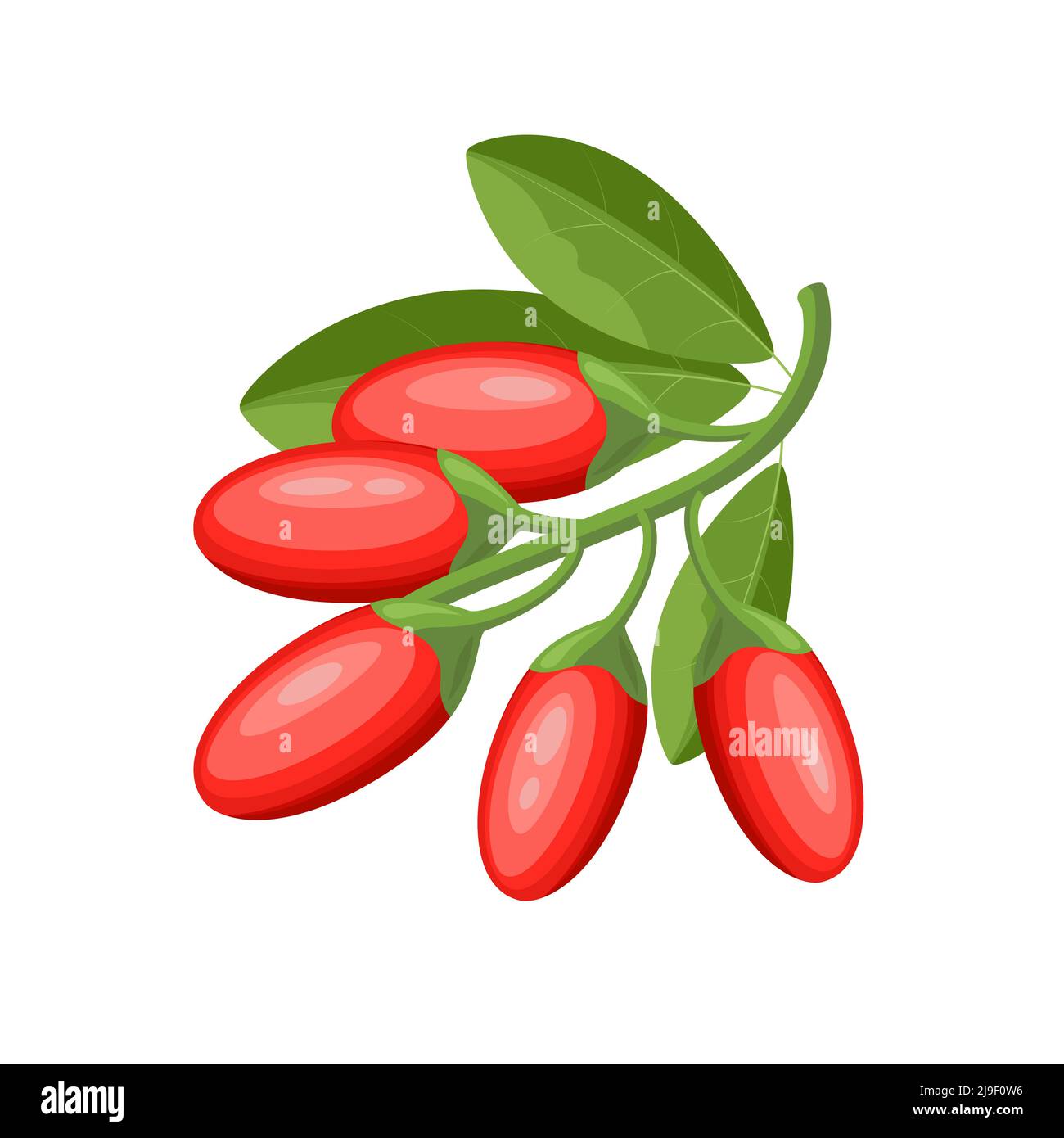 Frische Goji-Beeren, flache Vektor-Illustration isoliert auf weißem Hintergrund Stock Vektor