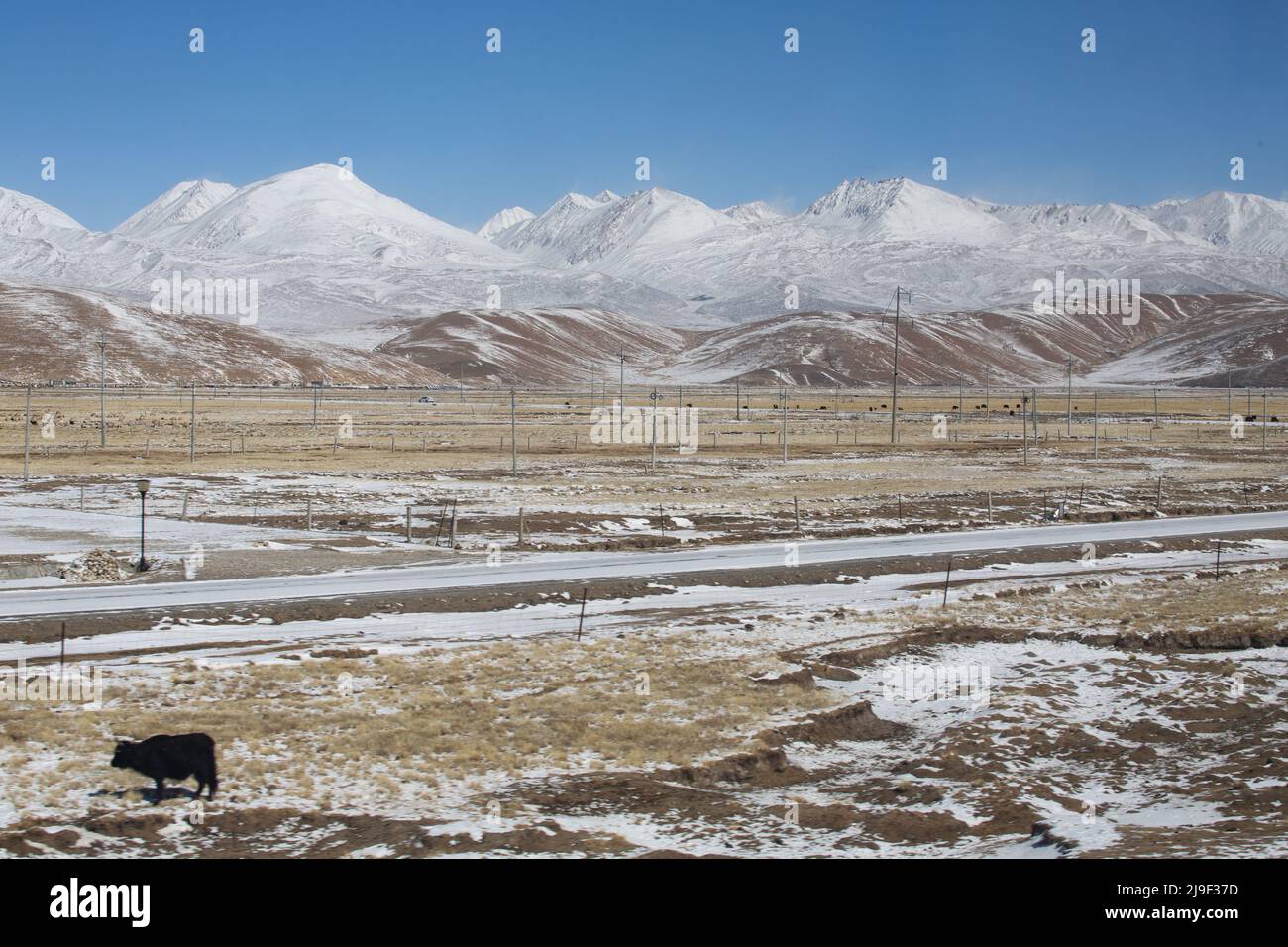 Szene des tibetischen Plateaus Stockfoto