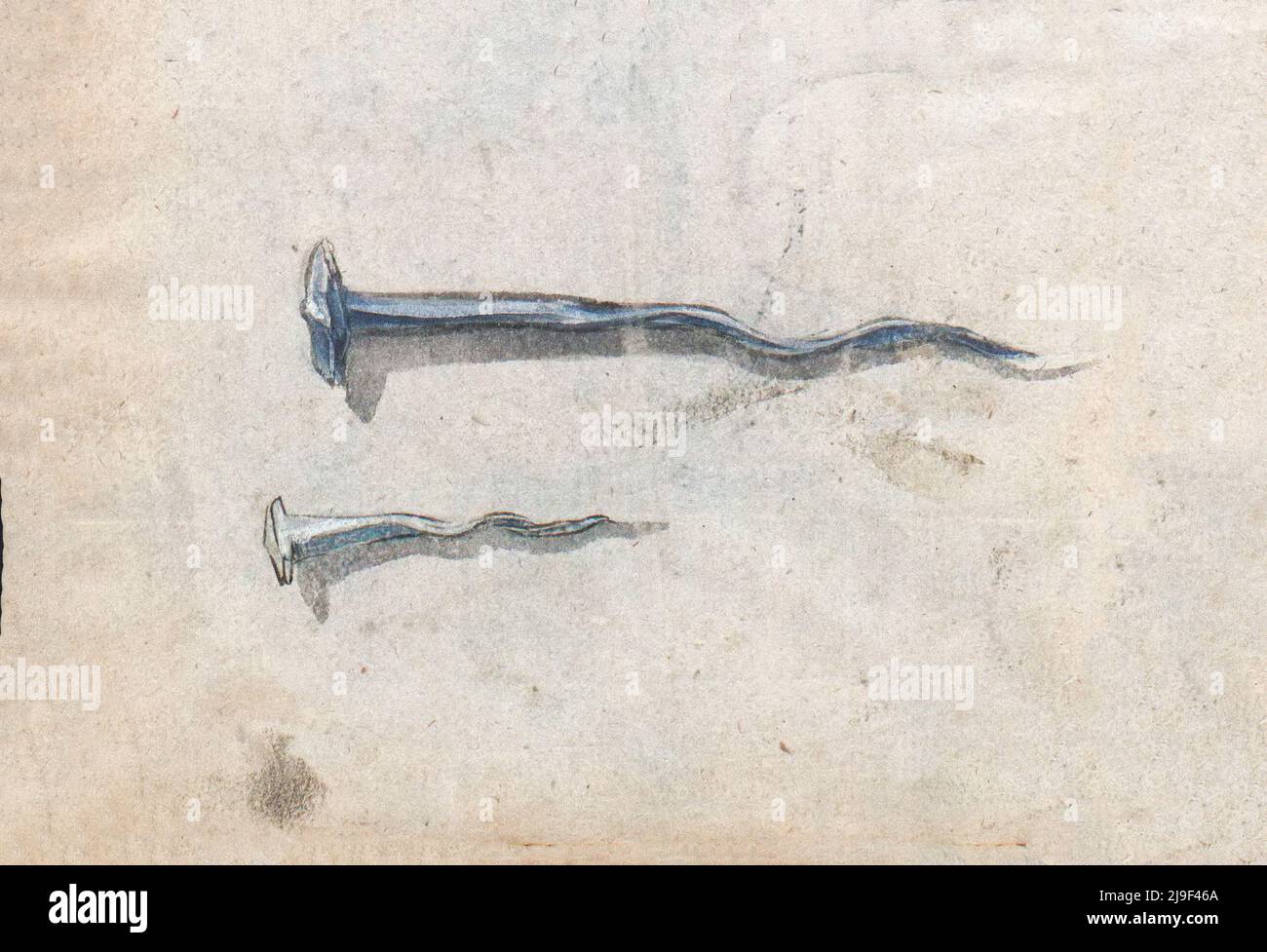 Mittelalterliche Illustration von geschmiedeten Nägeln. Die Werkzeuge von Martin Löffelholz (1505) Löffelholtz Codex. Illustrationen und Beschreibungen aller Art von Hand zu Stockfoto
