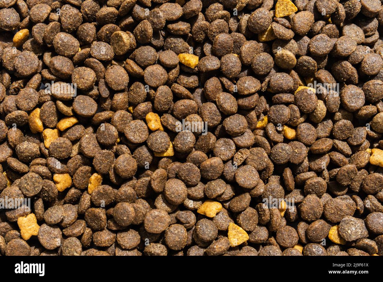 Kibble für Haustiere, kleine braune Stücke. Stockfoto