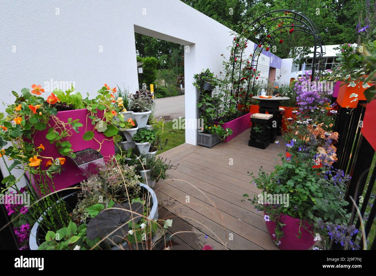 London, Großbritannien. 23.. Mai 2022. Der Cirrus Garden, einer der schönen Balkon- und Containergärten, der auf der Royal Horticultural Society Chelsea Flower Show 2022 ausgestellt wurde, die heute auf dem Gelände des Royal Hospital Chelsea in Chelsea, London, Großbritannien, am 23. Mai 2022 eröffnet wurde. Der Cirrus Garden kombiniert das Spektakel eines Schaugartens mit einem nachhaltigen Garten, der sich auf die Steigerung der Biodiversität in städtischen Gebieten konzentriert und eine ruhige Umgebung für die psychische Gesundheit bietet. Kredit: Michael Preston/Alamy Live Nachrichten Stockfoto