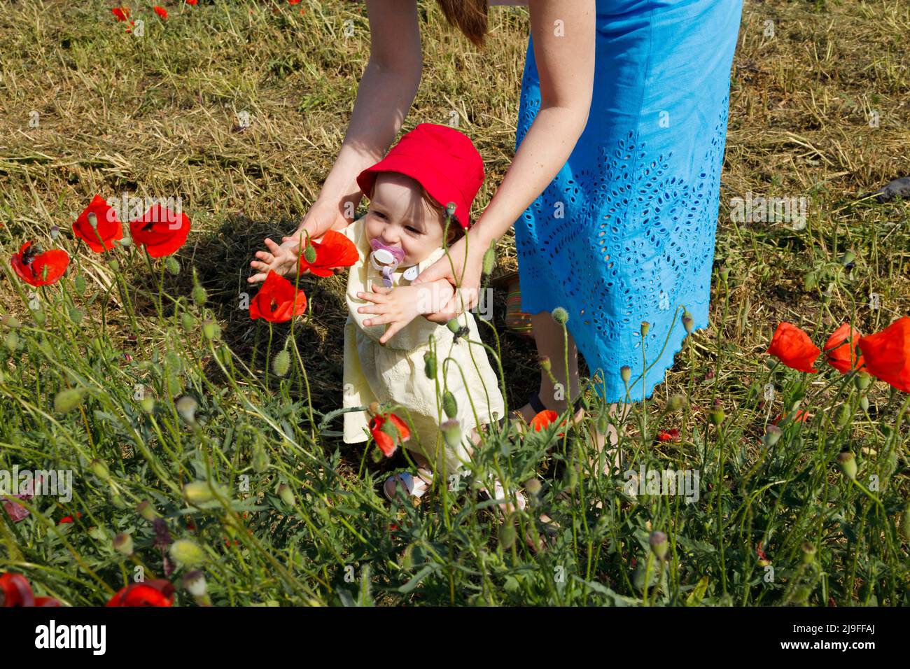 Glückliches Kind pflückt rote Mohnblumen auf einem Feld Stockfoto