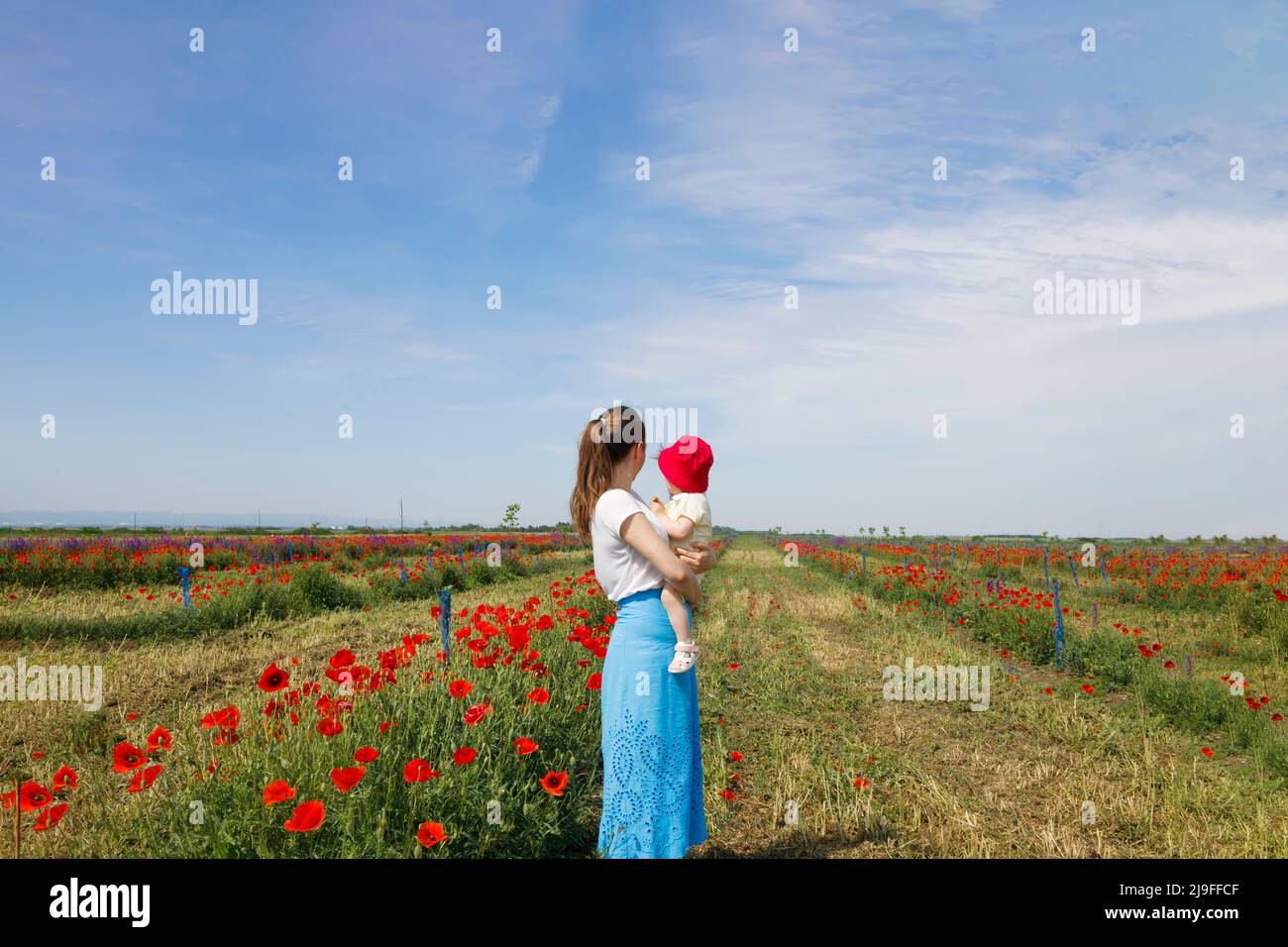 Mutter hält ihre Tochter auf einem Mohnfeld und blickt in die Ferne Stockfoto