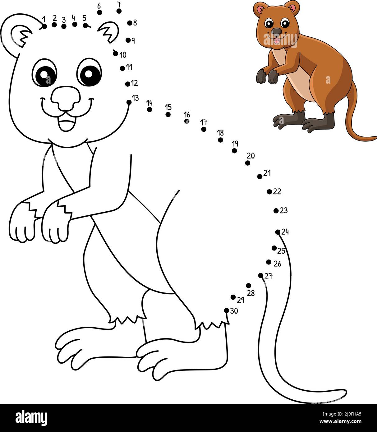 Dot to Dot Quokka Animal Coloring Page für Kinder Stock Vektor