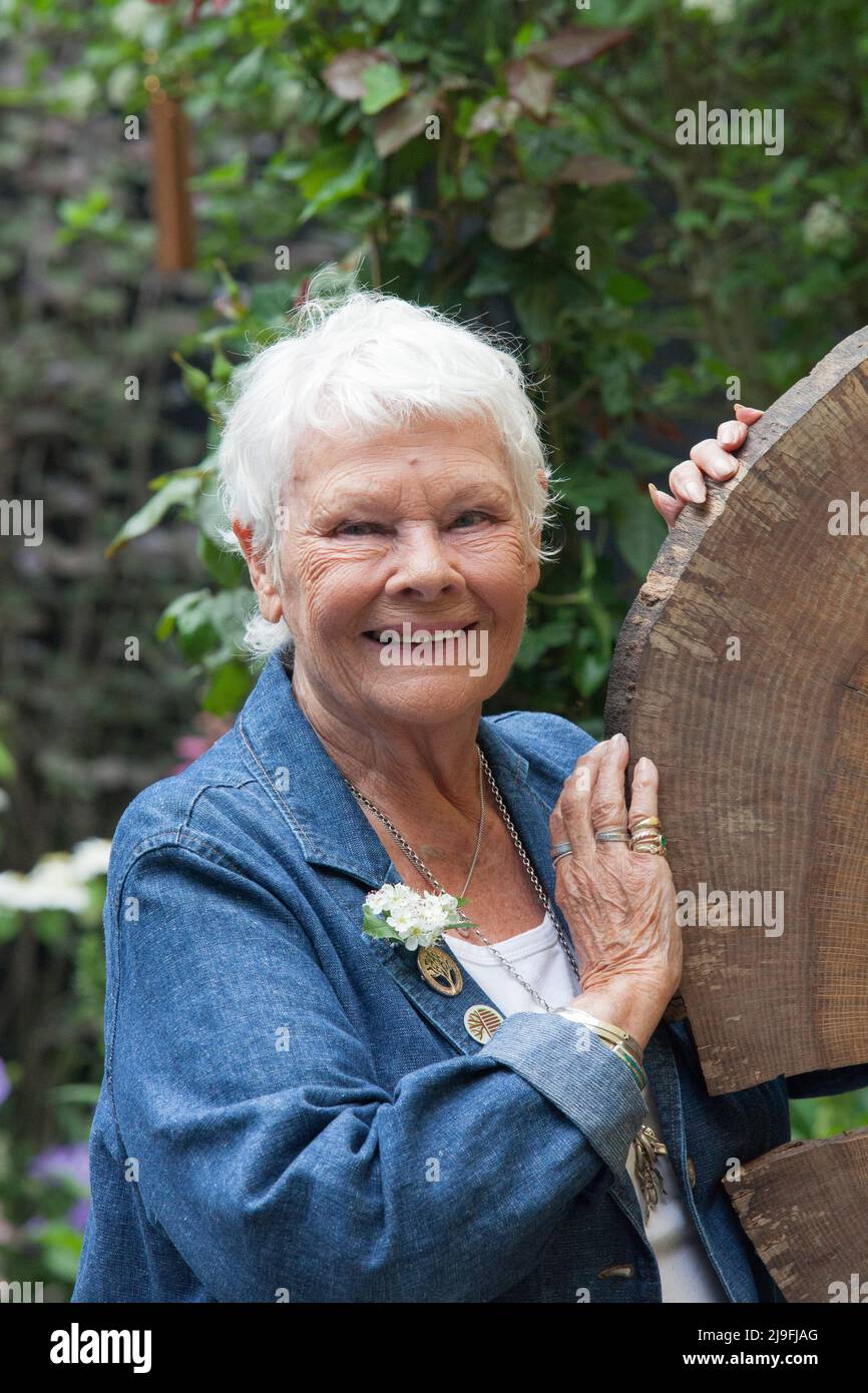 London, Großbritannien, 23. Mai 2022: Preview-Tag bei der Chelsea Flower Show. Dame Judi Dench sprach über ihre Liebe zu Bäumen, um die Kampagne „Woodland Heritage“ über die Bedeutung von reifen Wäldern zu starten. Anna Watson/Alamy Live News Stockfoto