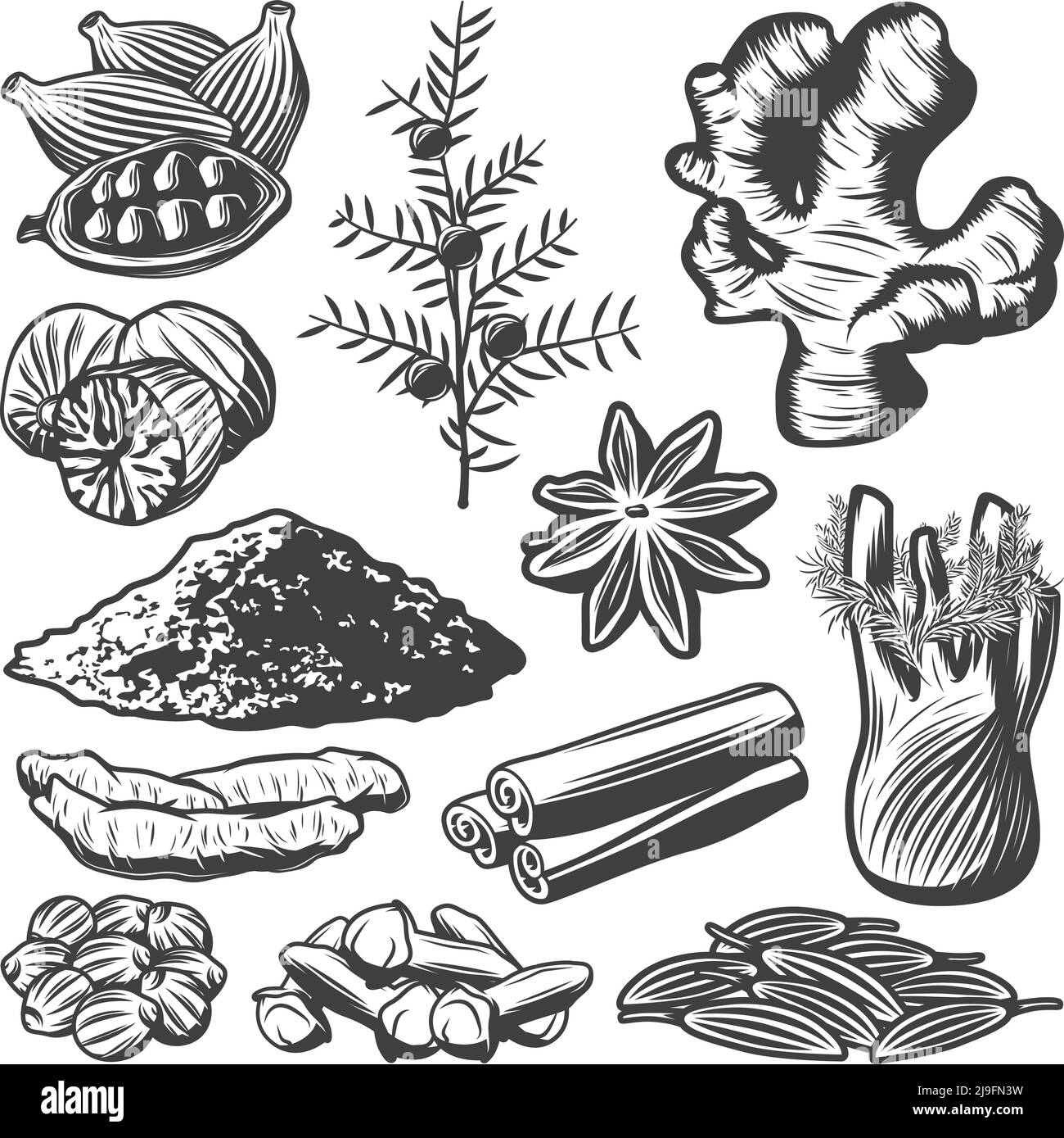 Vintage Gewürzkollektion mit Kreuzkümmel Muskatnuss Sternanis Kardamom Fenchel Zimtpulver Rosmarin Ingwer Kurkuma Nelken Koriander isoliert Vektor illus Stock Vektor