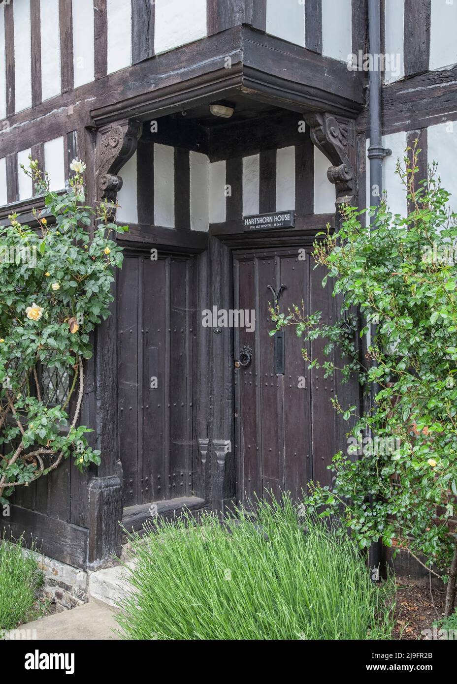 Das Alte Krankenhaus, Rye Stockfoto