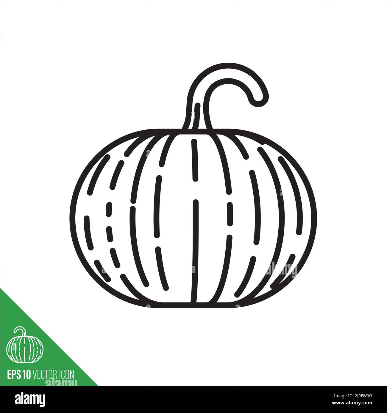 Connecticut Feld Kürbis , Winter Squash Gemüse Symbol, Umriss Stil Vektor Illustration Stock Vektor