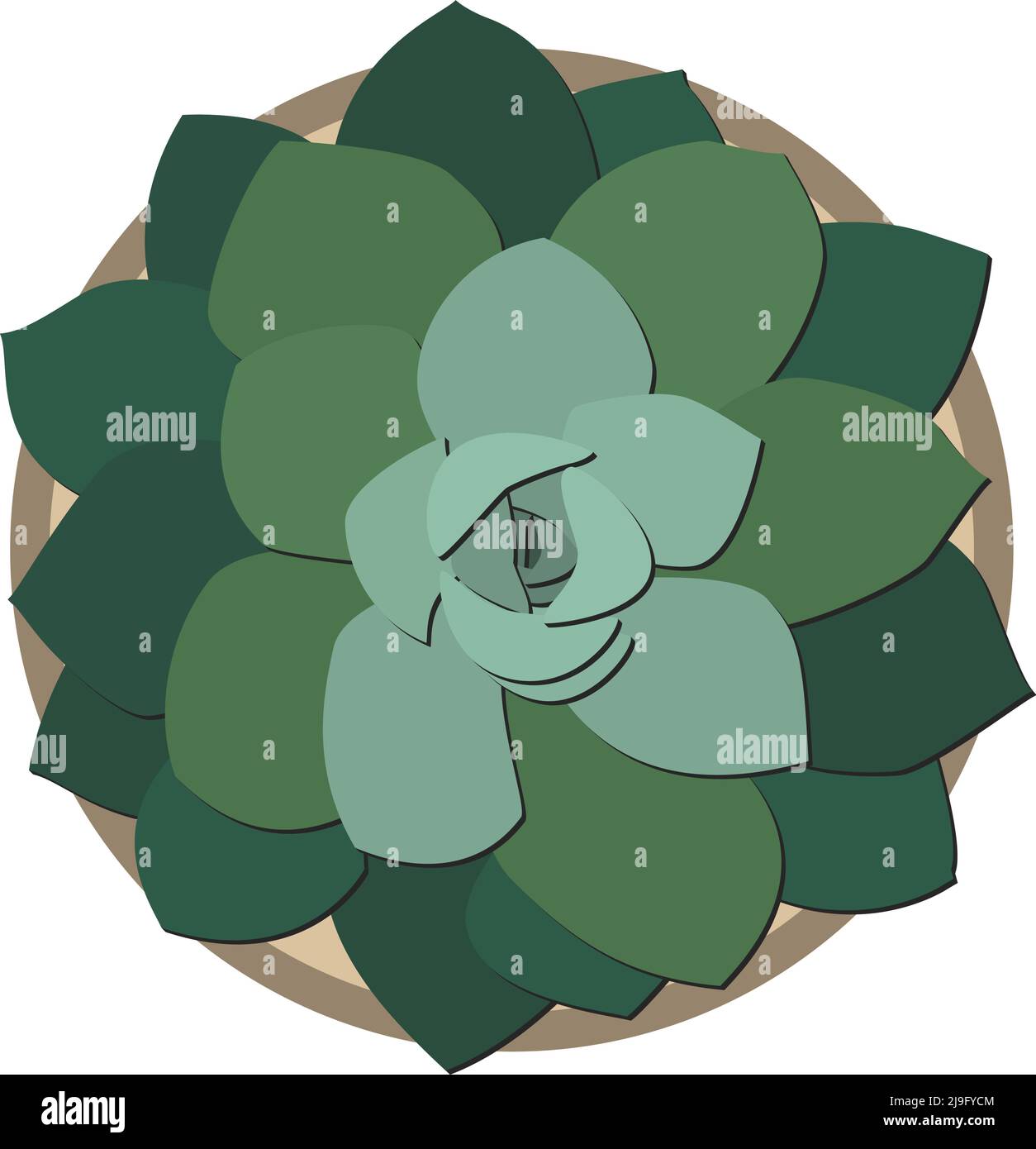 Oben Ansicht von eingetopften Sukulenten Pflanze, flache Design Vektor-Illustration Stock Vektor